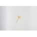 Brass Tika Set of 6